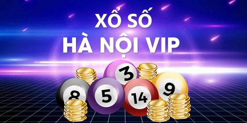 Xổ số Hà Nội Vip đặt cược ra sao?