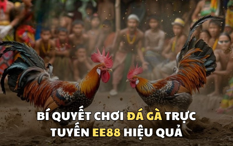 Đá Gà EE88 – Sân Chơi Cá Cược Kịch Tính, Uy Tín Hàng Đầu Châu Á